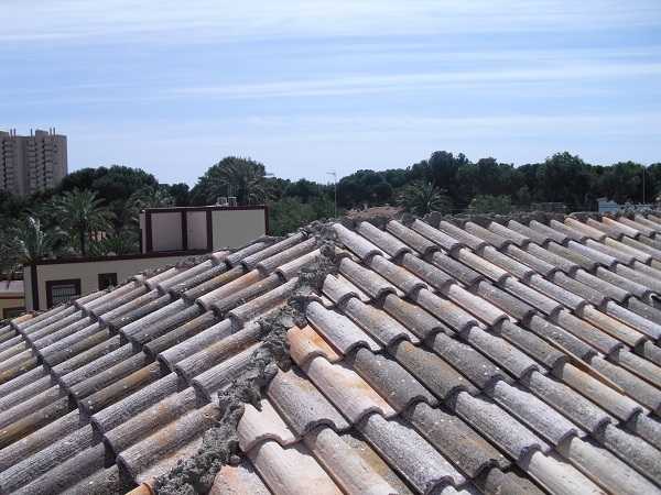 alicosta