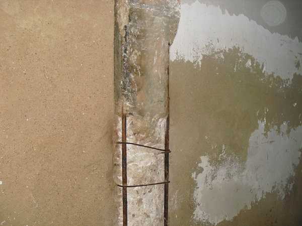 alicosta